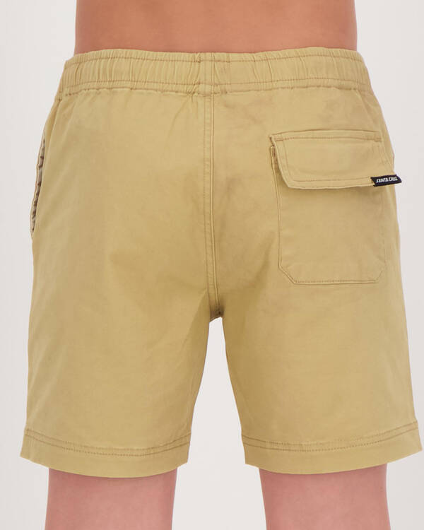 Santa Cruz Heat Seeker Short for Mens