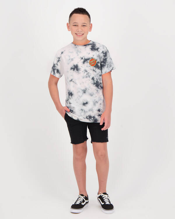 Santa Cruz Boys' Breaker Dot Tie Dye T-Shirt for Mens
