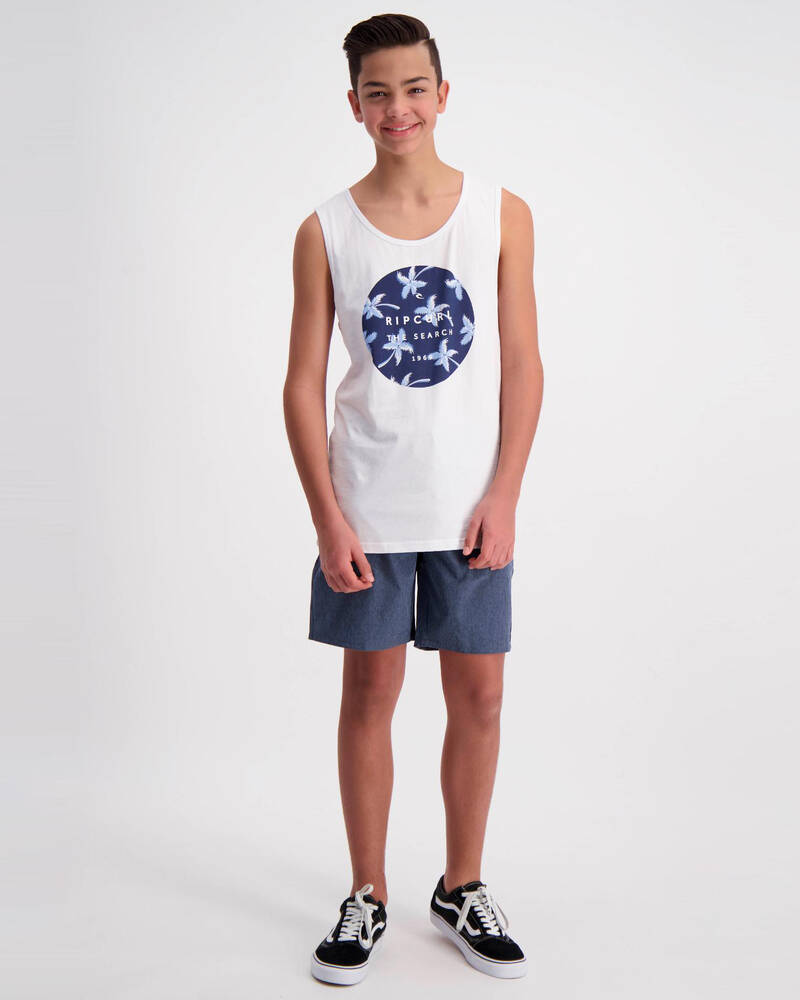 Jacks Boys' Streak Board Shorts for Mens
