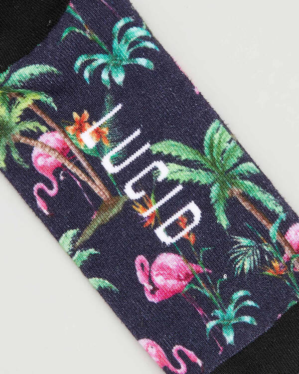 Lucid Maui Socks for Mens