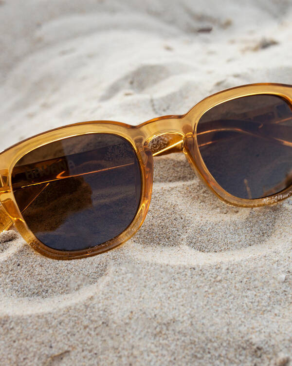 Carve Havana Sunglasses for Mens