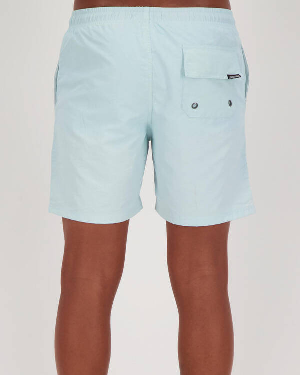 Santa Cruz Cruizier Reactive Shorts for Mens
