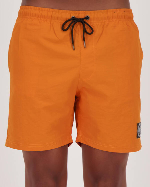 Santa Cruz Cruizier Reactive Shorts for Mens