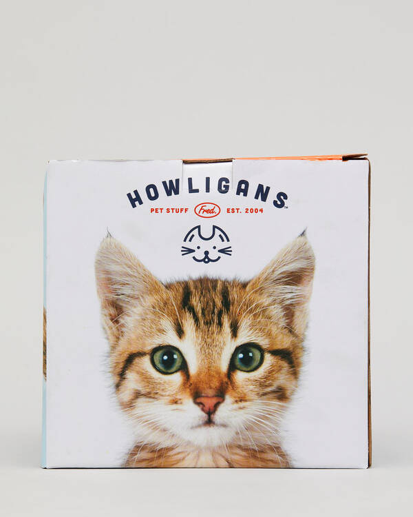 Get It Now Crazy Cat Bowl Set for Unisex