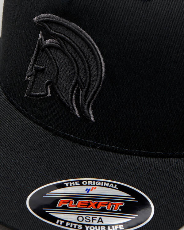 Sparta Stadium Flexfit Cap for Mens