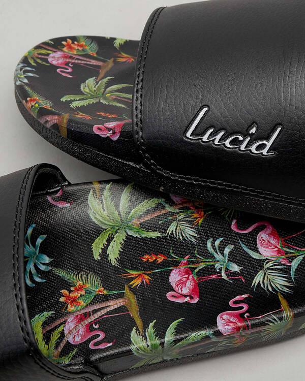 Lucid Maui Slides for Mens