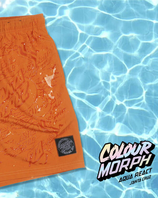 Santa Cruz Cruizier Reactive Shorts for Mens