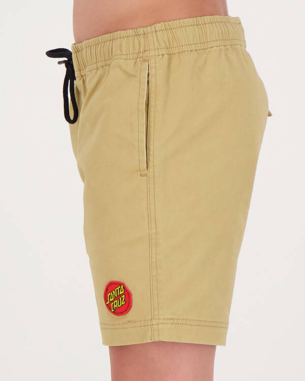 Santa Cruz Heat Seeker Short for Mens