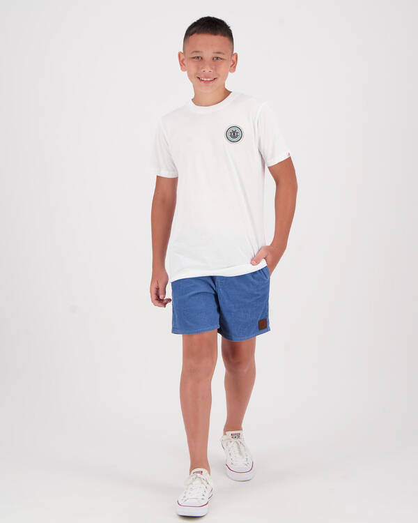 Element Boys Hatched T-Shirt for Mens