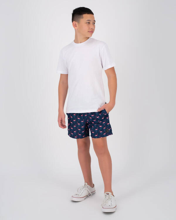 Lucid Boys' Vice Versa Mully Shorts for Mens