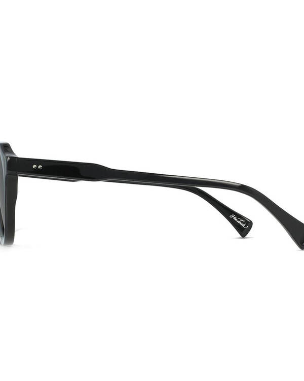 Raen Eyewear Sage Sunglasses for Mens