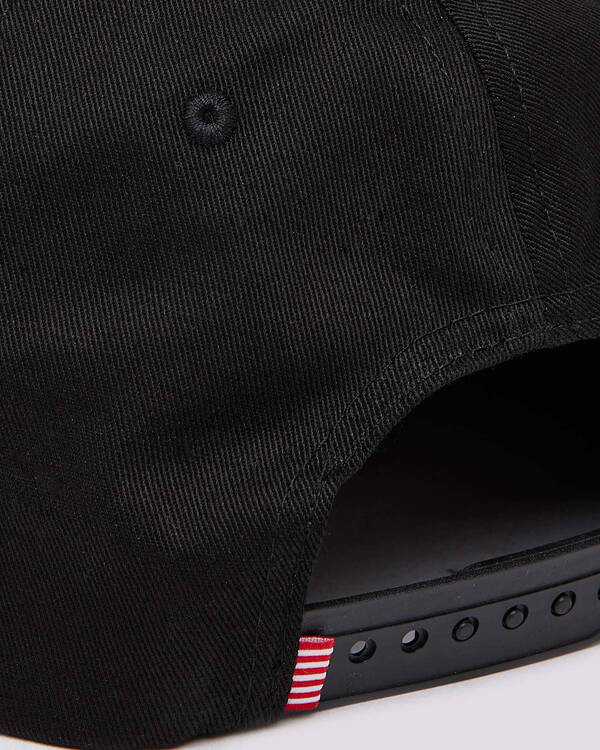 Herschel Whaler Snapback for Mens