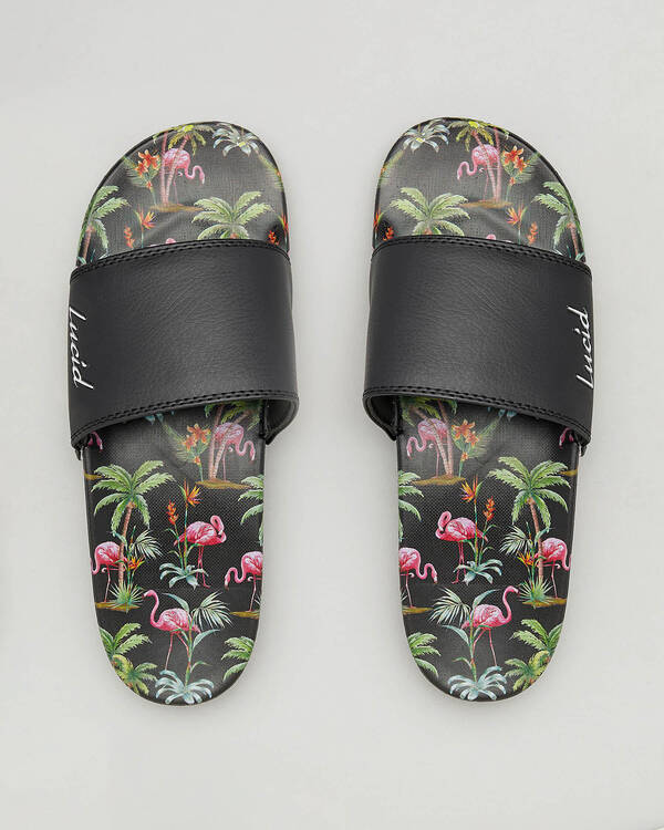 Lucid Maui Slides for Mens