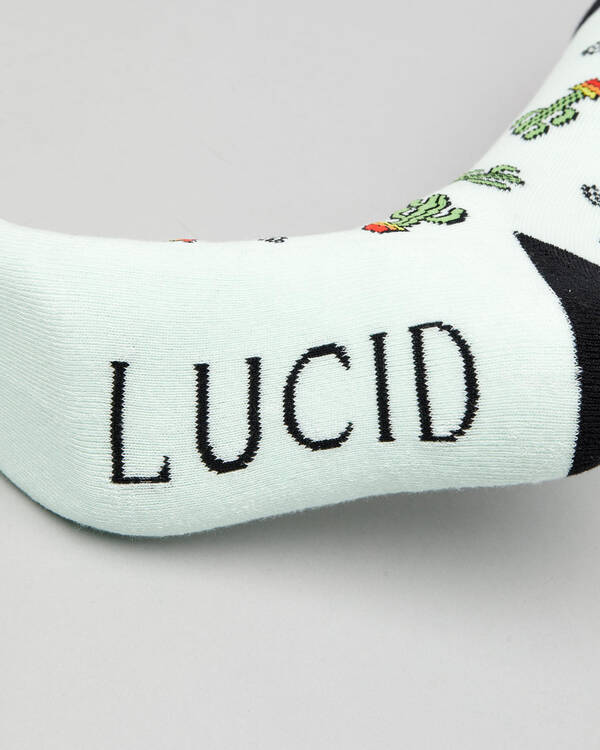Lucid Baron Socks for Mens
