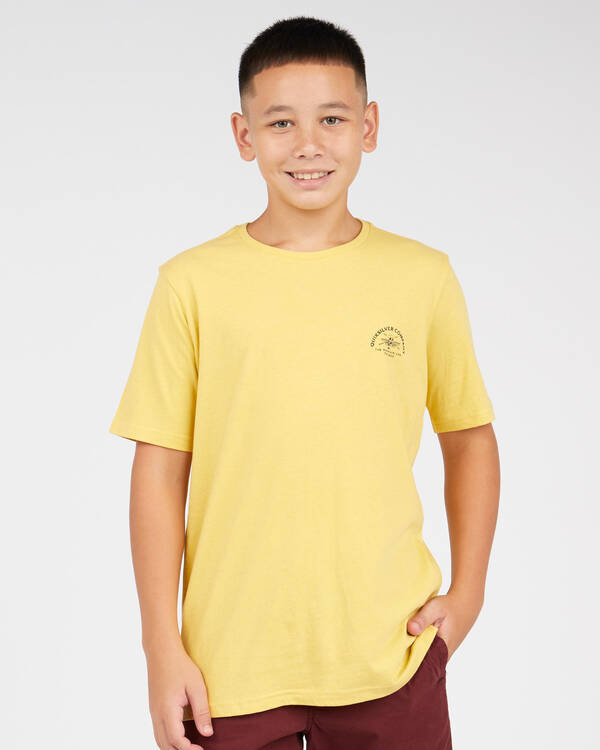 Quiksilver Boys' Wave Remains T-Shirt for Mens