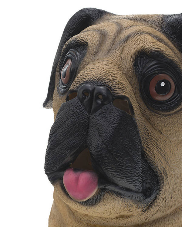 Get It Now Pug Mask for Mens