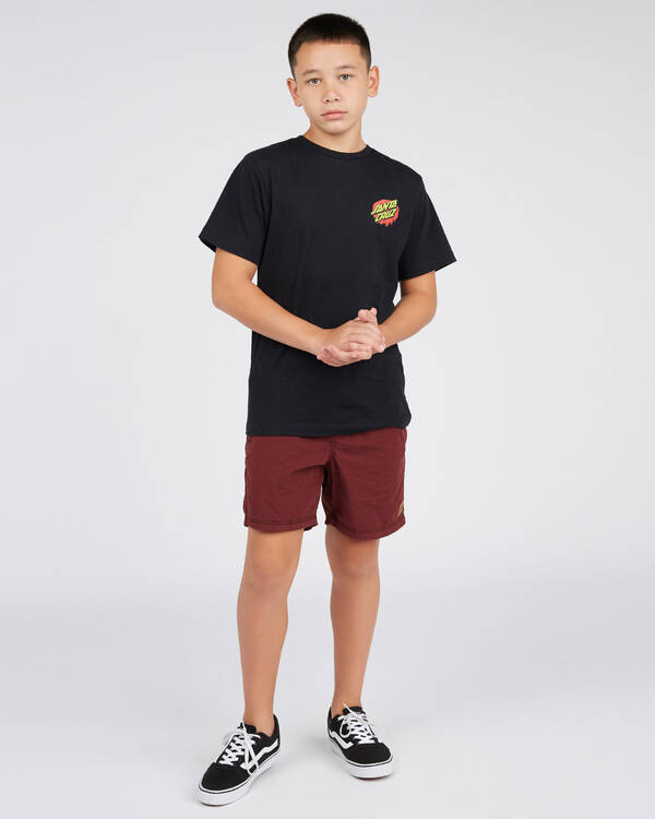 Santa Cruz Boys' Rob Hand T-Shirt for Mens