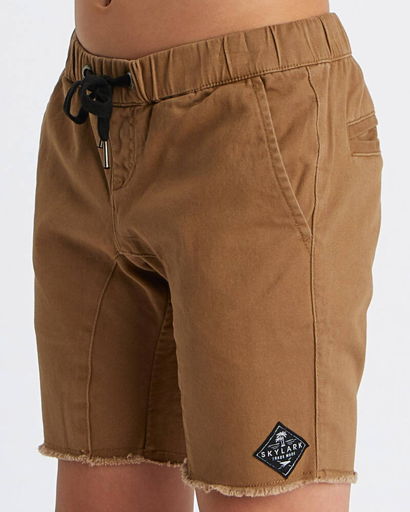 Skylark Boys' Erase Drop Crotch Shorts for Mens