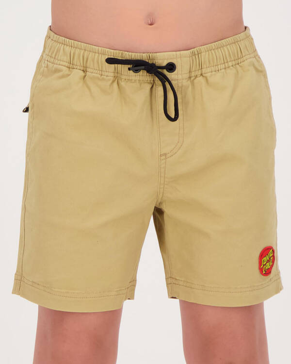 Santa Cruz Heat Seeker Short for Mens