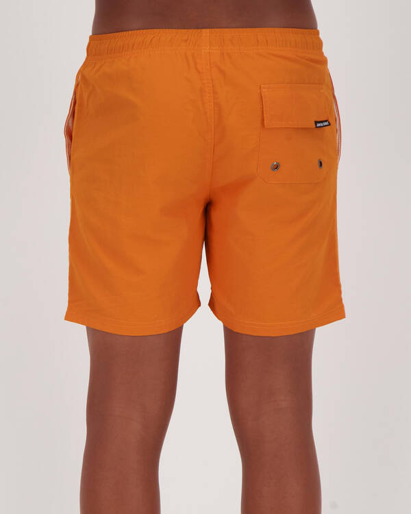 Santa Cruz Cruizier Reactive Shorts for Mens