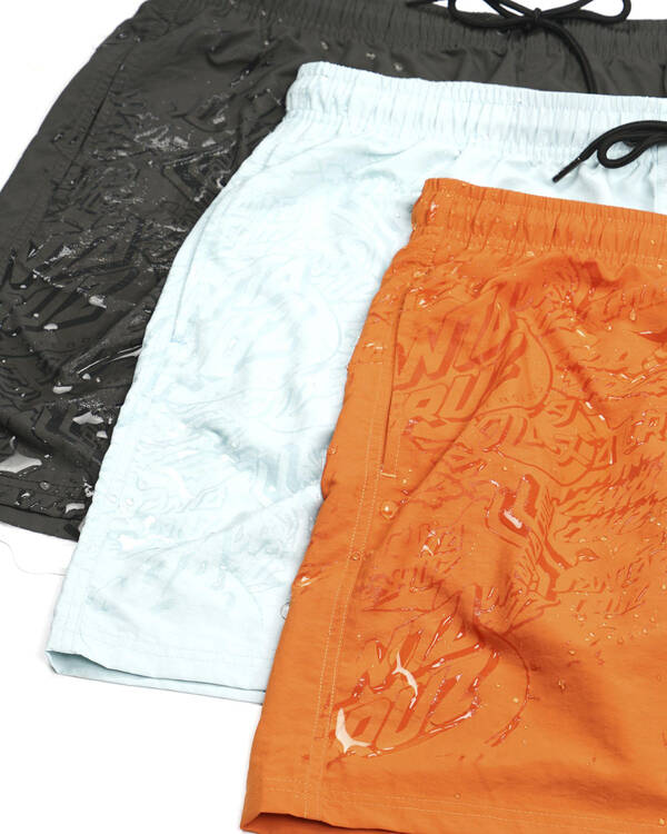 Santa Cruz Cruizier Reactive Shorts for Mens