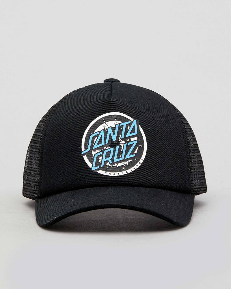 Santa Cruz Boys' Roskopp Target Dot Cap for Mens
